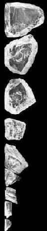  Cullinan rough diamonds